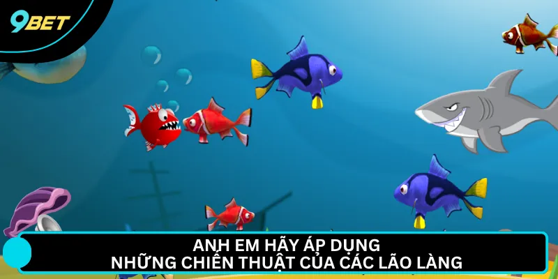 Anh em hãy áp dụng những chiến thuật của các lão làng