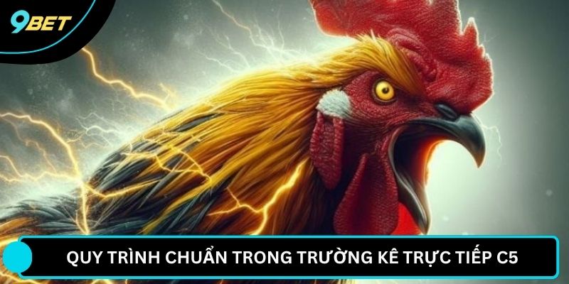 Quy trình chuẩn trong trường kê trực tiếp C5